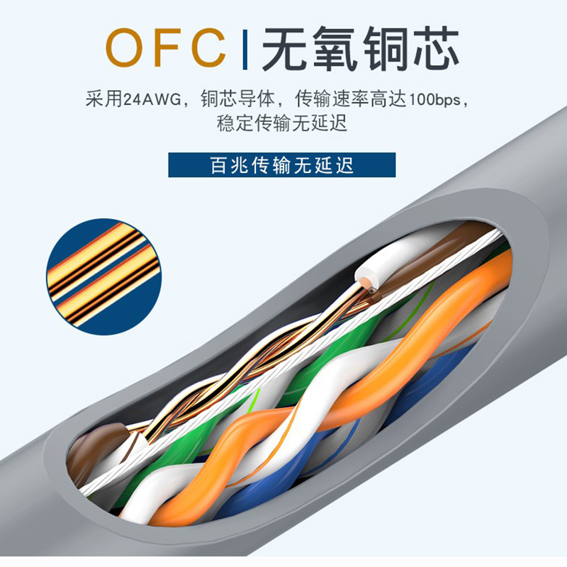 OL 振亚网线 六类非屏蔽网线无氧铜 双绞线 (2米)—GZ