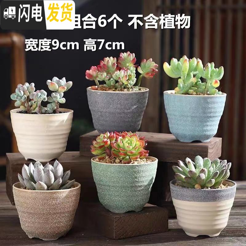 三维工匠多肉花盆陶瓷粗陶透气室内简约肉肉盆栽特大口径花盆 DL手造-16组合5个 中等花盆容器高清大图