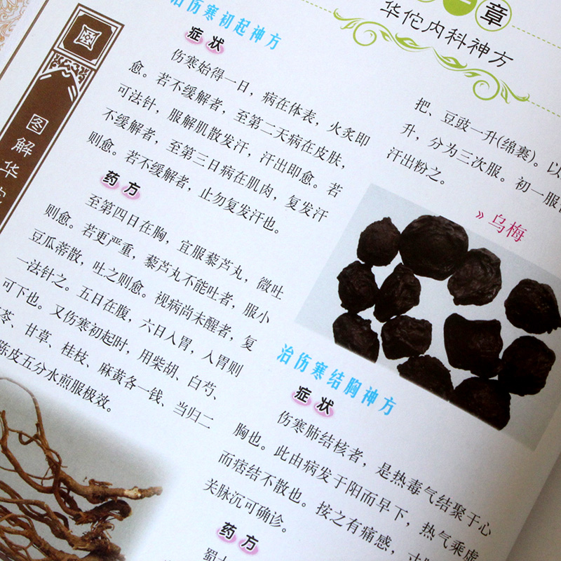 [醉染正版]正版 图解华佗药方祛百病 彩图精装版 华佗药方治百病 中医中草药方制作方法 华佗医方剂书中华养生宝典书籍高清大图