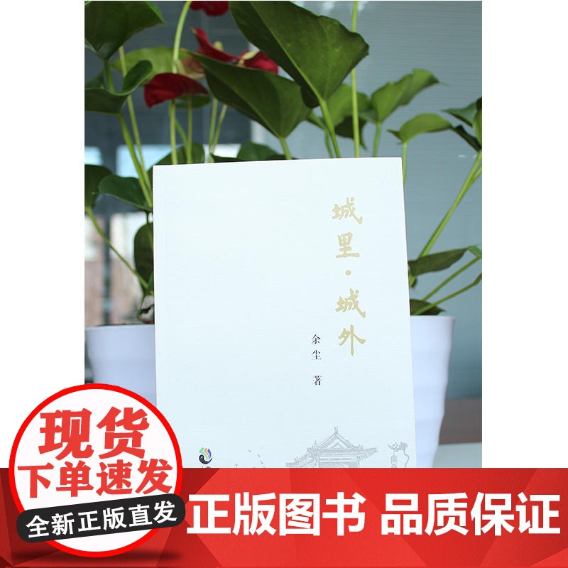 城里城外高清大图