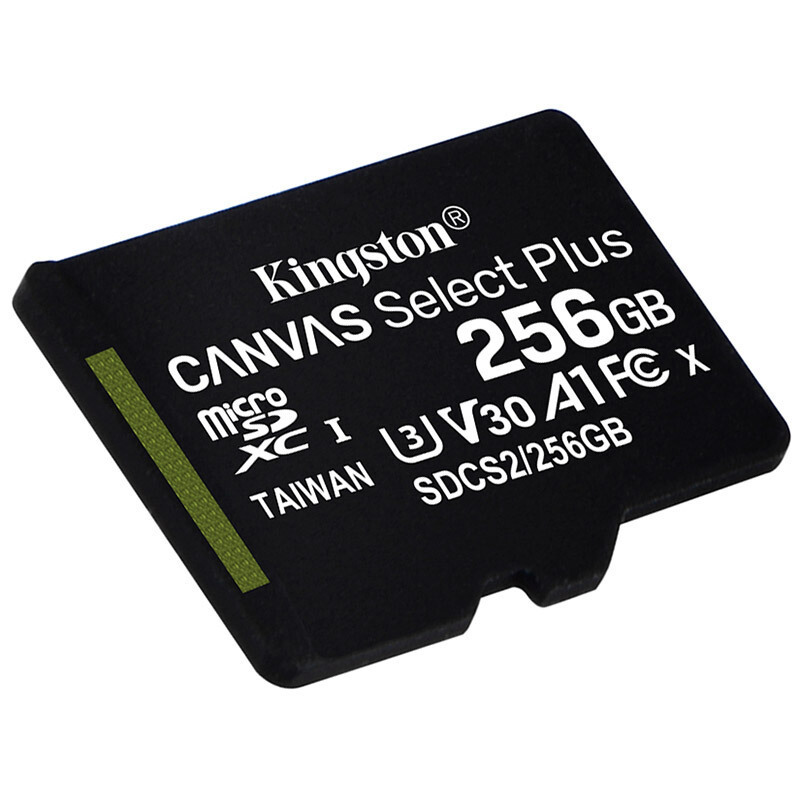 金士顿(Kingston)256GB 读速100MB/s switch内存卡(MicroSD) TF 存储卡 高品质拍摄