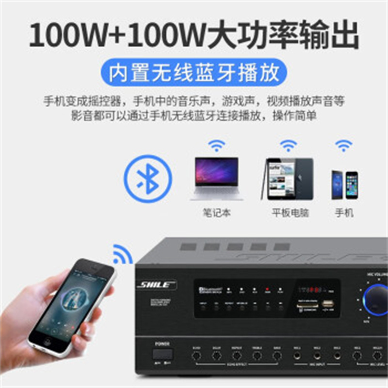 狮乐 (SHILE)AV108/BX402黑1拖2话筒/天琴十四号 专业中小型会议室视频音响系统调音台音柱功放音箱组合