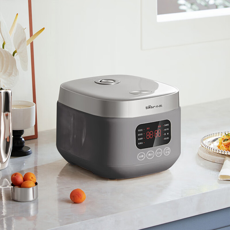 小熊(Bear)铁铁煲 电饭煲 小型2-3人电饭锅 环翼珐琅铁釜变压远红外IH加热微压柴火饭3升 DFB-E30F2高清大图