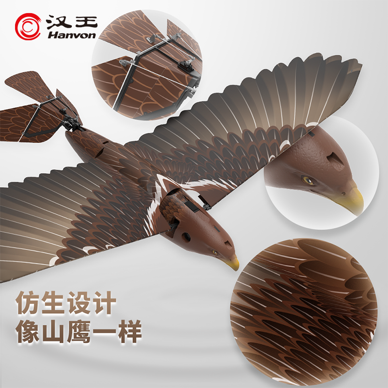 汉王(Hanvon) 仿翼白头鹰plus全套高清大图