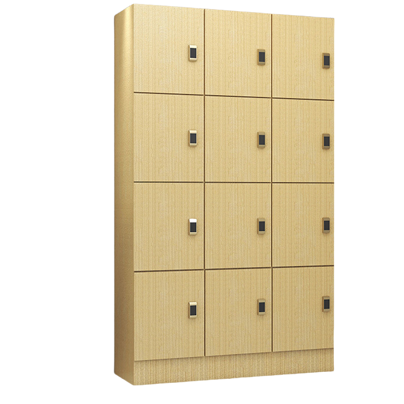 烁恒储物柜12门台高清大图