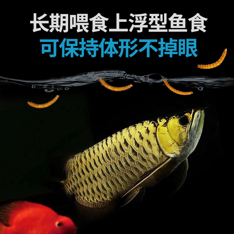 面包虫虫干粉虫鹦鹉鱼乌龟银龙金龙鱼画眉鸟石蛙饲料500克高清大图