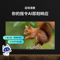 创维(SKYWORTH)75A3 Pro 75英寸远场声控 护眼防蓝光 一键投屏 2+16GB内存平板电视