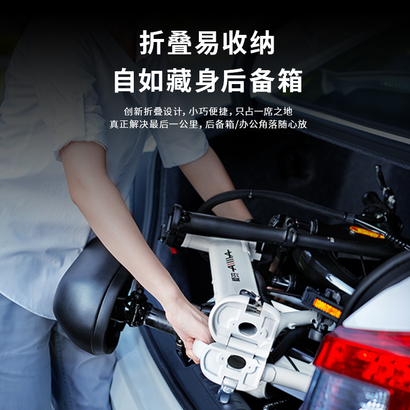 爱玛电动车轻鸿 S1(TDT1201Z) 续航50-60公里 含头盔