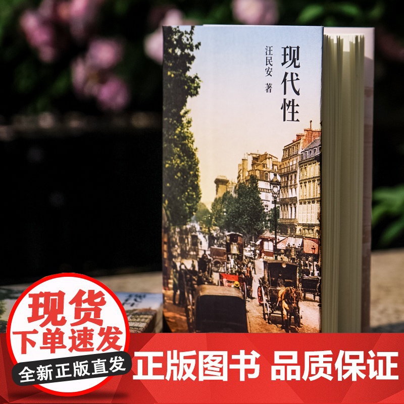 现代性 汪民安 著 社会科学高清大图