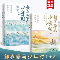 鲜衣怒马少年时1+2 [正版]随书赠折页海报鲜衣怒马少年时1+2 套装2册少年怒马著 揭示开元盛世繁华危机唐宋诗人绘画文
