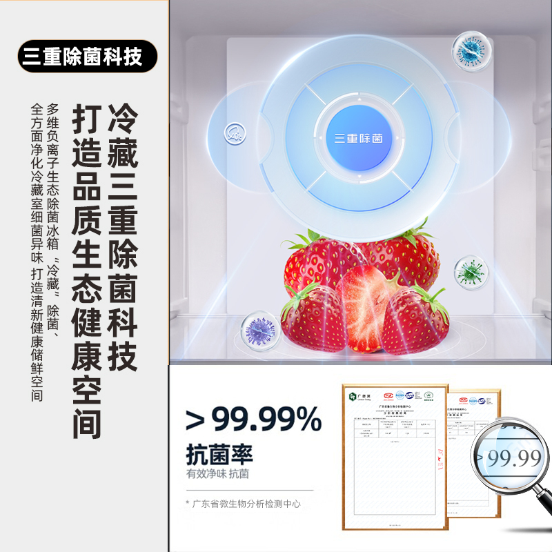 新飞(frestec)531升三重除菌净味对开门超薄可嵌入冰箱一级变频电冰箱BCD-531WK9AT