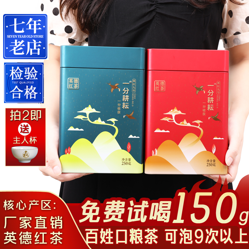 一分耕耘 英德红茶商务礼盒罐装 英红九号茶叶 功夫红茶一级250g/500g罐装 节日送礼茶高清大图
