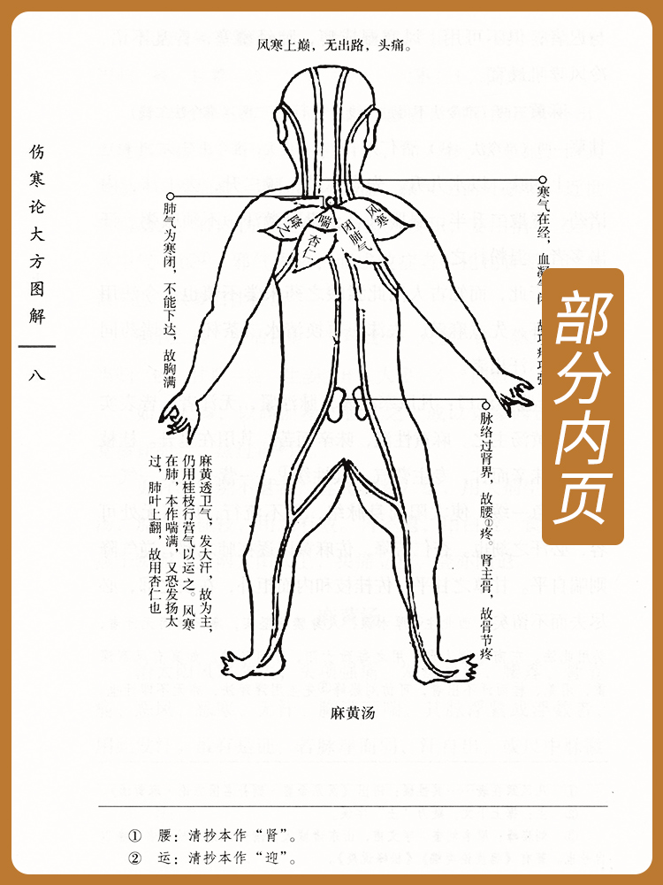 [正版] 伤寒论大方图解 何贵孚 古籍整理丛书 原文无删减 基础入门书籍临床经验 可搭伤寒论黄帝内经本草纲目神农本草经高清大图