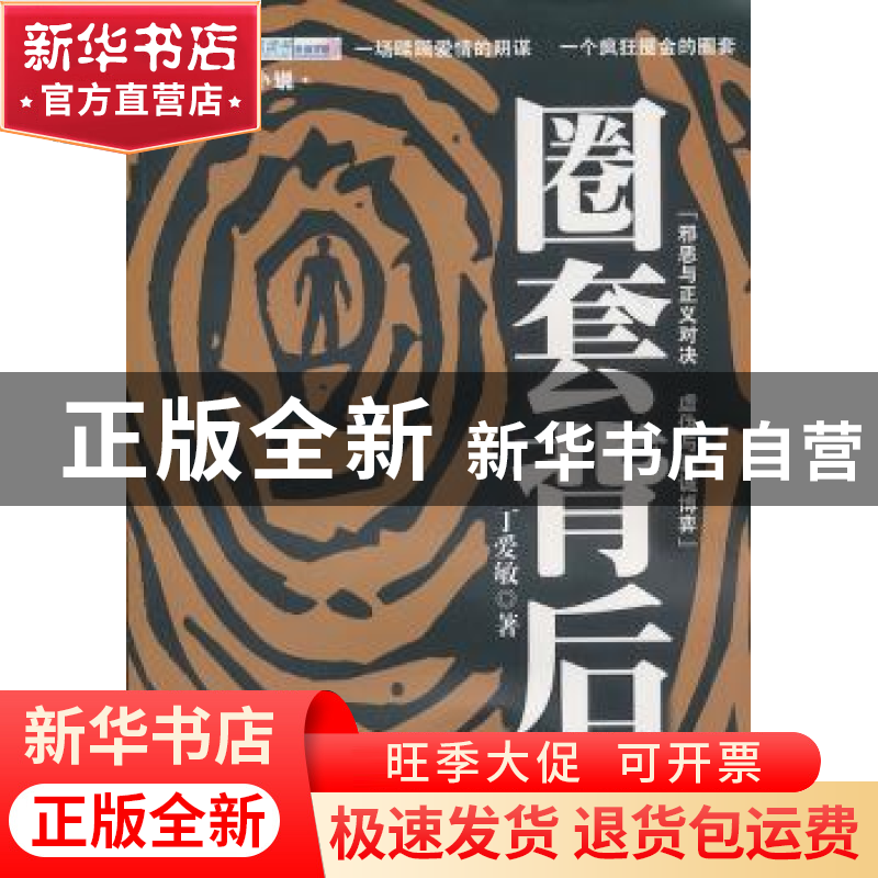 正版 圈套背后 丁爱敏著 中国华侨出版社 9787511312327 书高清大图