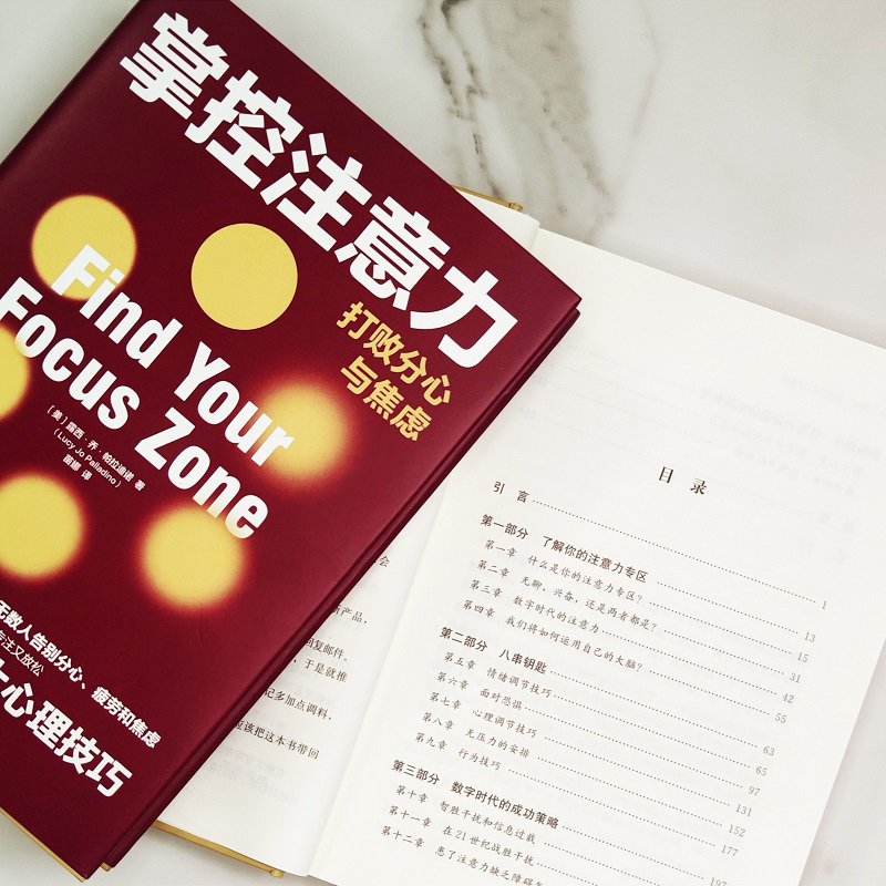 [正版]掌控注意力 打败分心与焦虑 露西·乔·帕拉迪诺 著 心理学社科 焦虑的指南5大情绪方法3大情绪技巧 书籍 人大
