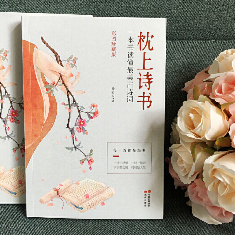 [正版]抖音同款彩图珍藏版 枕上诗书一本书读懂zui美古诗词 中国古诗词诗词大会诗经精选徐若央著 李清照苏轼一诗一故事高清大图