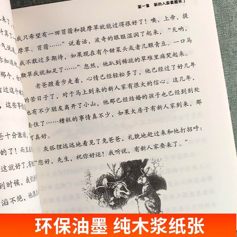 父与子全集[彩色注音版] [正版]兔子坡书一二年级三四五六年级阅读必读课外书世界经典名著彼得兔的故事大象巴巴的故事小王子