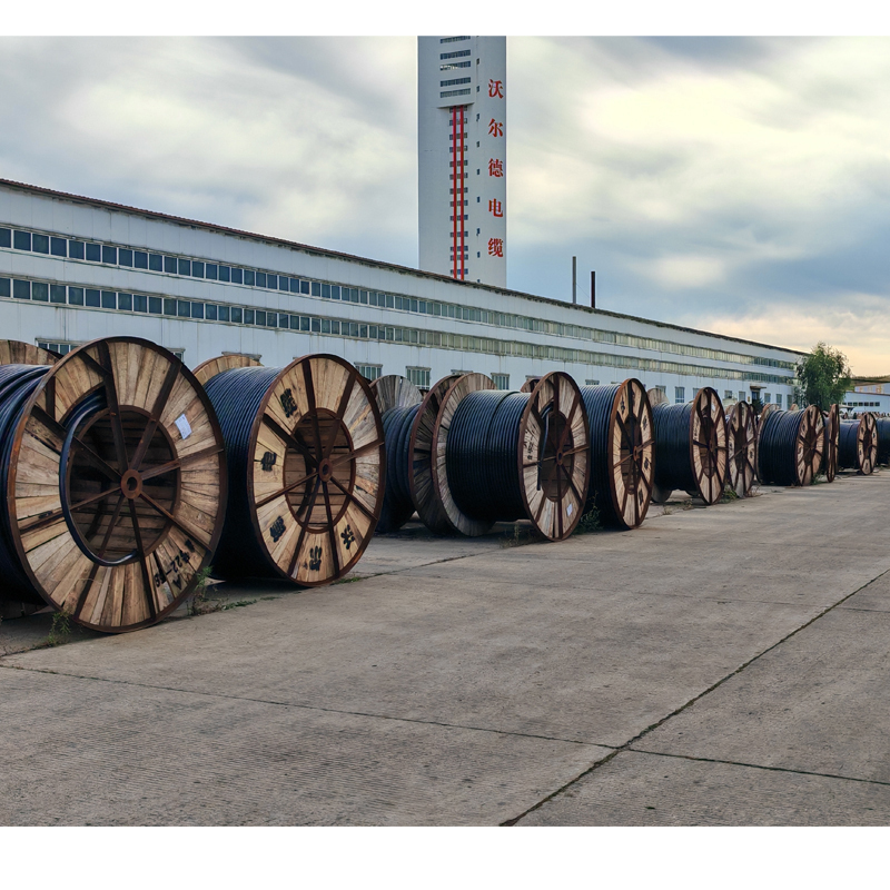 沃尔德电缆 电力电缆 YJV22 0.6/1KV 2*25高清大图
