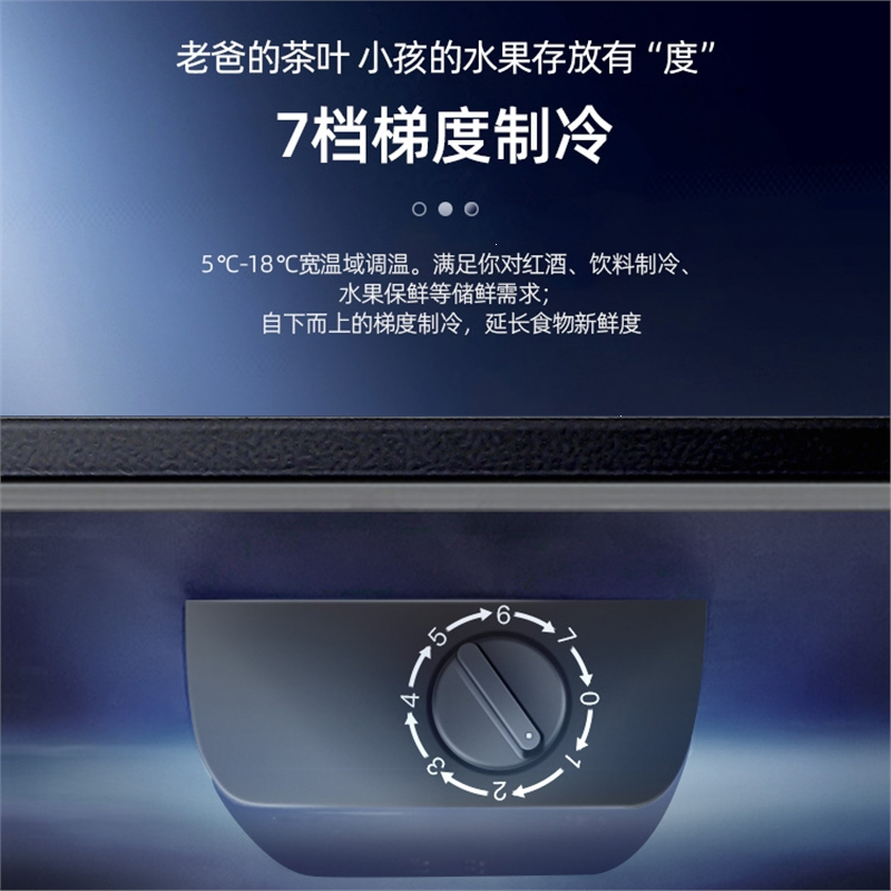 志高（chigo）冰吧小型冰箱家用茶叶保鲜柜 冰吧