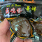 [50枚特惠]五香卤蛋整箱批发零食无壳鸡蛋五香味卤鹌鹑蛋