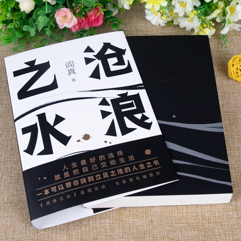 [醉染正版]阎真:沧浪之水 职场小白考公人的启蒙之书籍 经典当代爱情小说 官场小说 同名高分国剧岁月原著 入围茅盾文学奖高清大图