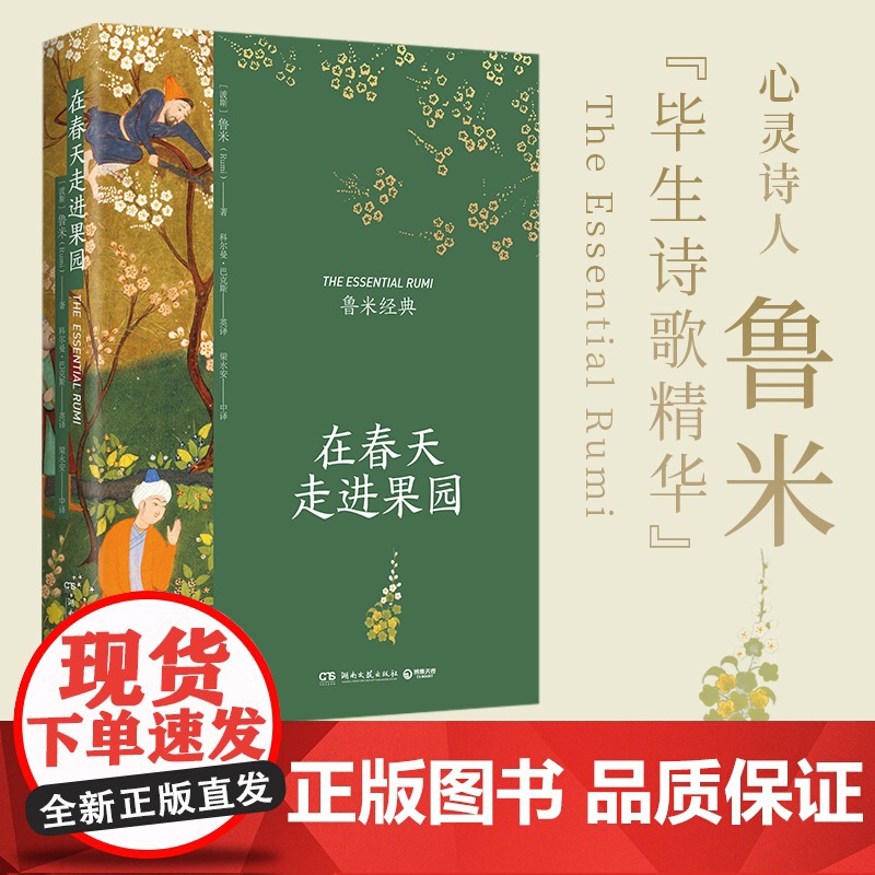 在春天走进果园 精装典藏版 鲁米 外国诗歌集 关于心灵生命和爱情现代都市人生活心灵解方 外国诗歌散文集文学高清大图