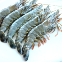 壹家壹站 马来西亚原装进口黑虎虾 400g 19-20只 盒装 海鲜水产虾