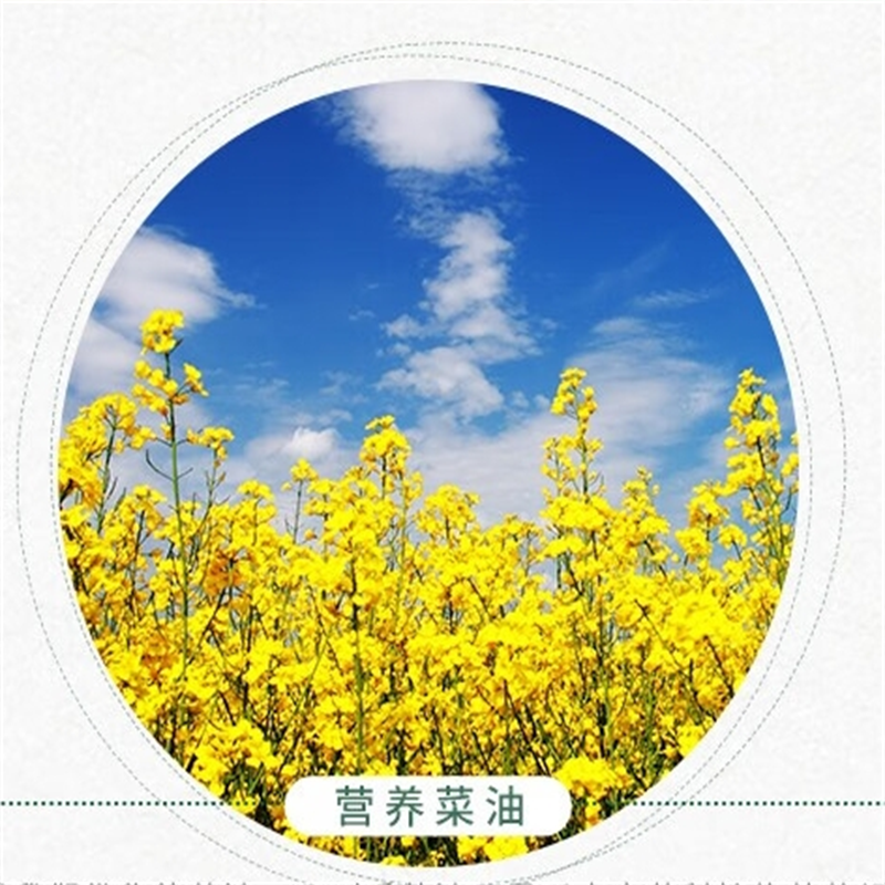 金浩 宫廷黄金山茶籽香食用植物调和油5L