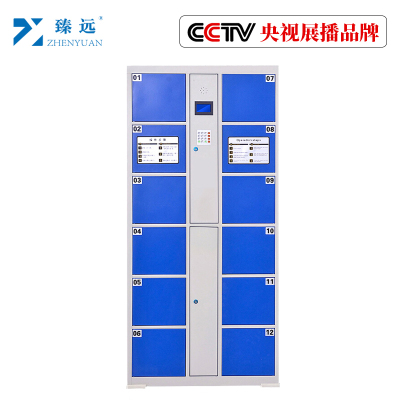 臻远工厂车间电子存包柜智能储物柜寄存柜刷卡条码自编投币型储物柜 12门微信扫码款