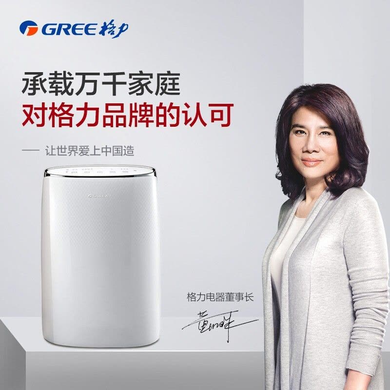 格力 DH40EF 除湿机家用抽湿机 空气除湿器 一机多用 智能干衣 日除湿量40L图片