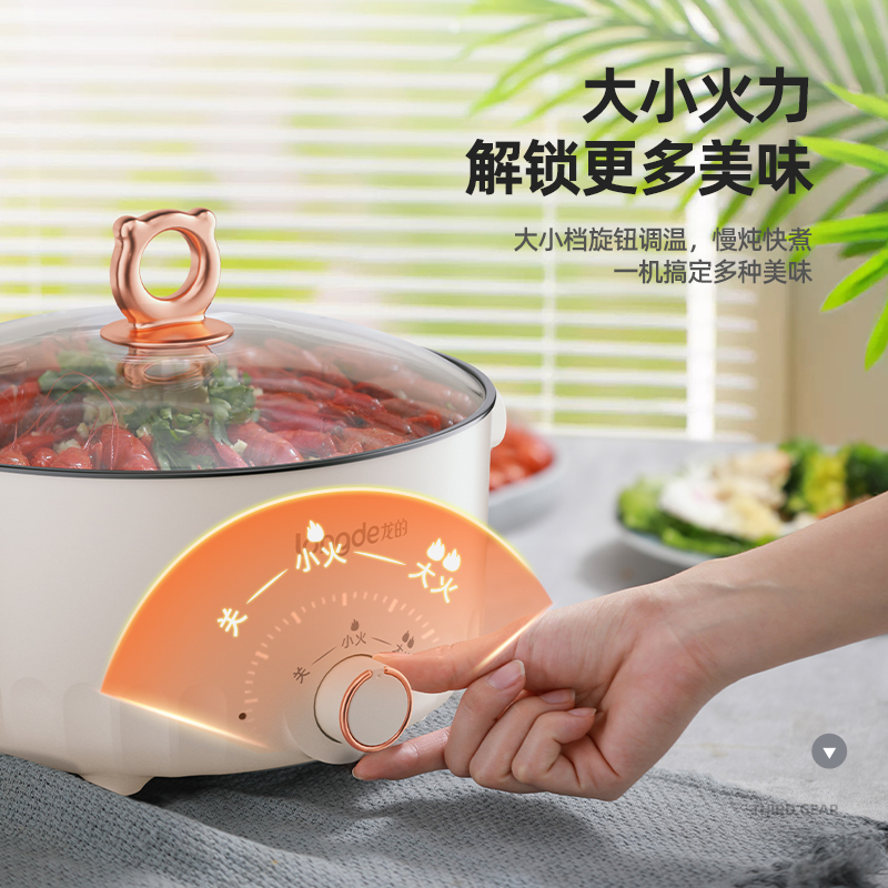 龙的(longde)多功能电火锅 1000W/3L 无蒸笼 1台 LD-HG313G高清大图