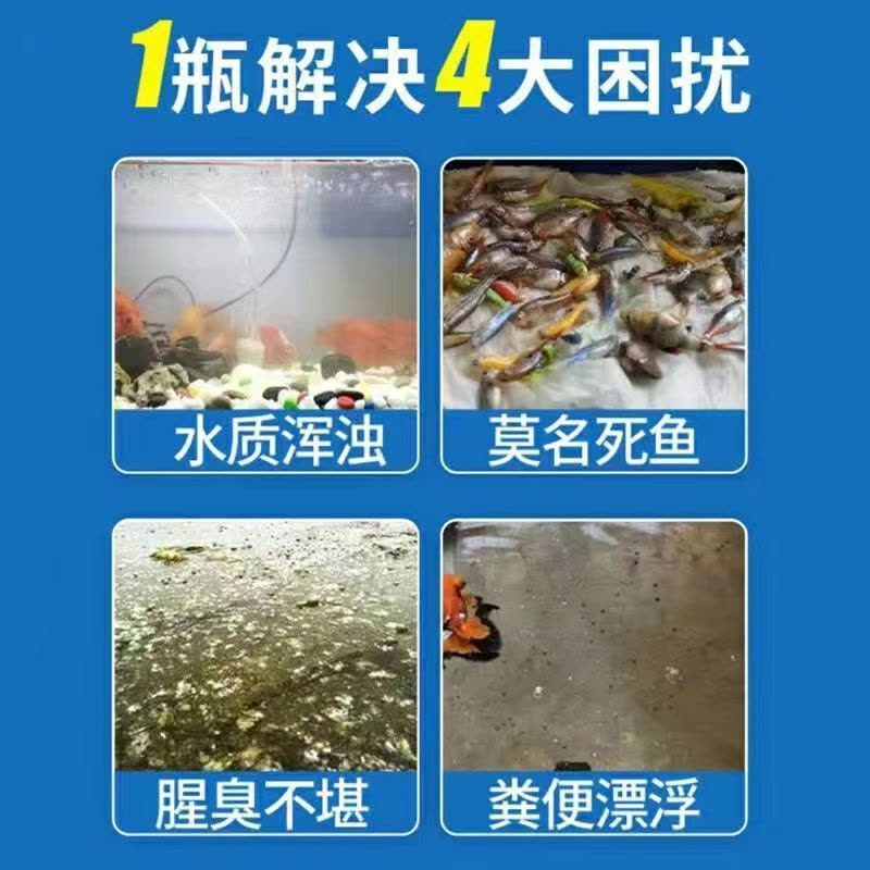 鱼缸硝化细菌净水剂水族水质清澈剂稳定剂硝化菌养鱼用除氯鱼乐宝图片