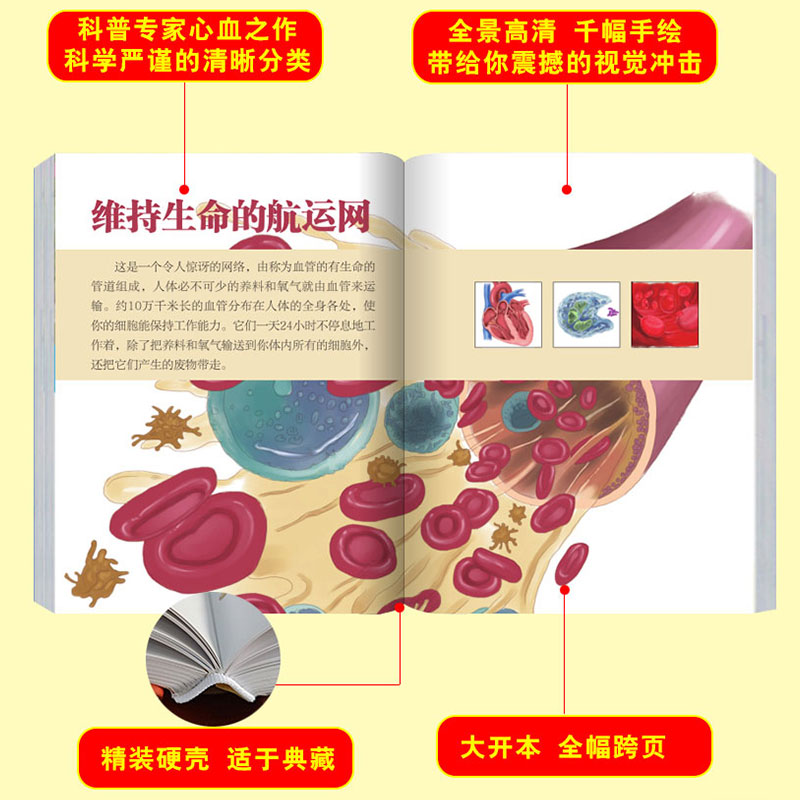 人体百科全书 [正版]儿童奥秘人体百科大全书海量图片揭秘我们的身体骨骼结构图解以文字为孩子探索认识人体科普打开兴趣四五六高清大图