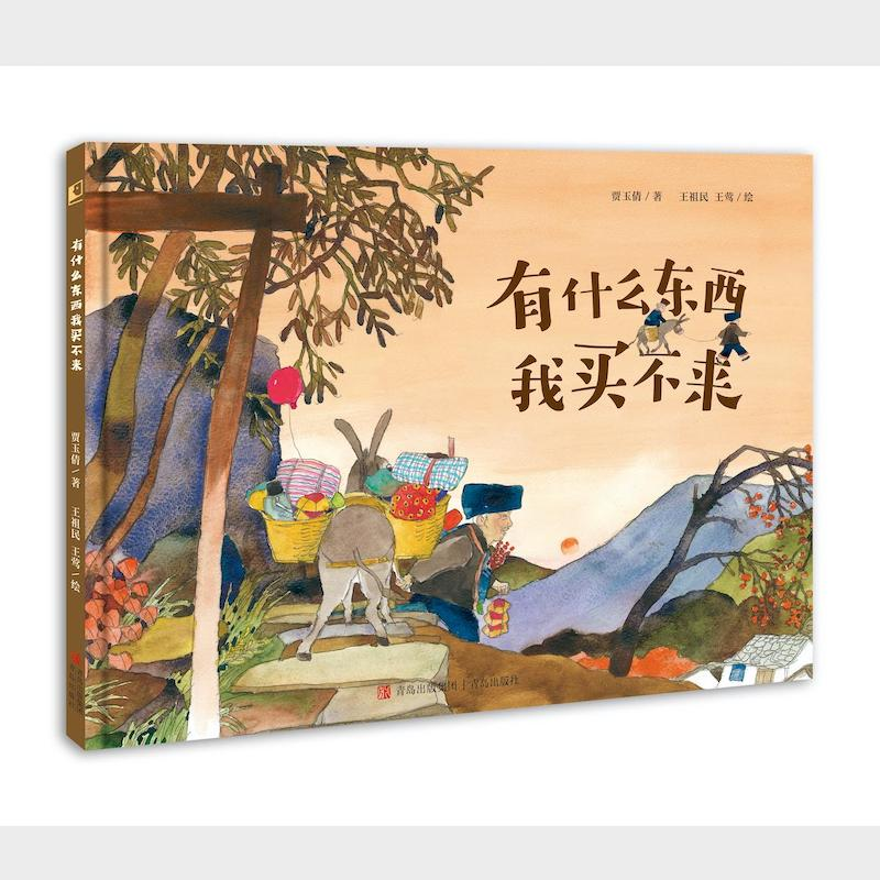 正版新书]有什么东西我买不来贾玉倩9787573610966高清大图