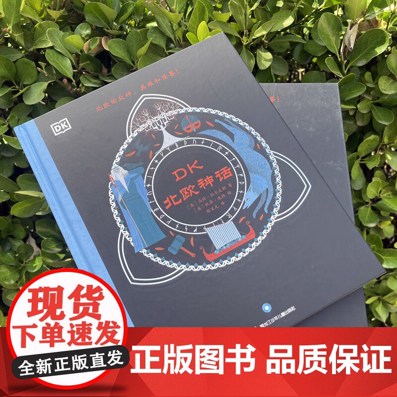 DK北欧神话 马特·拉尔夫斯 著 儿童文学高清大图