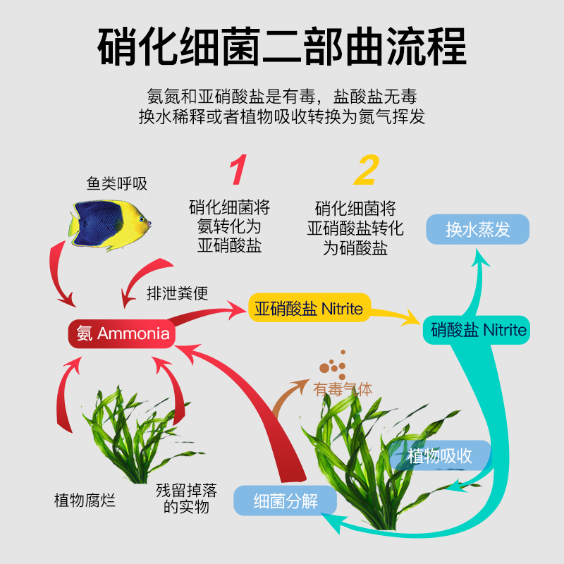浓缩硝化细菌干粉细菌鱼缸用活菌水族养鱼用品水质净化硝化菌高清大图