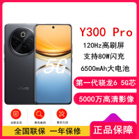 vivo Y300 Pro 墨玉黑 8GB+128GB 骁龙6 5G芯 6500mAh电池 80W充电 5000万高清影像 5G 手机