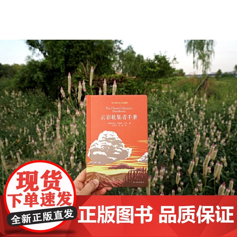 云彩收集者手册 赏云协会科普读物 介绍46种云与大气现象 一天一朵云 全彩图集展示 云图鉴赏 正版书籍高清大图