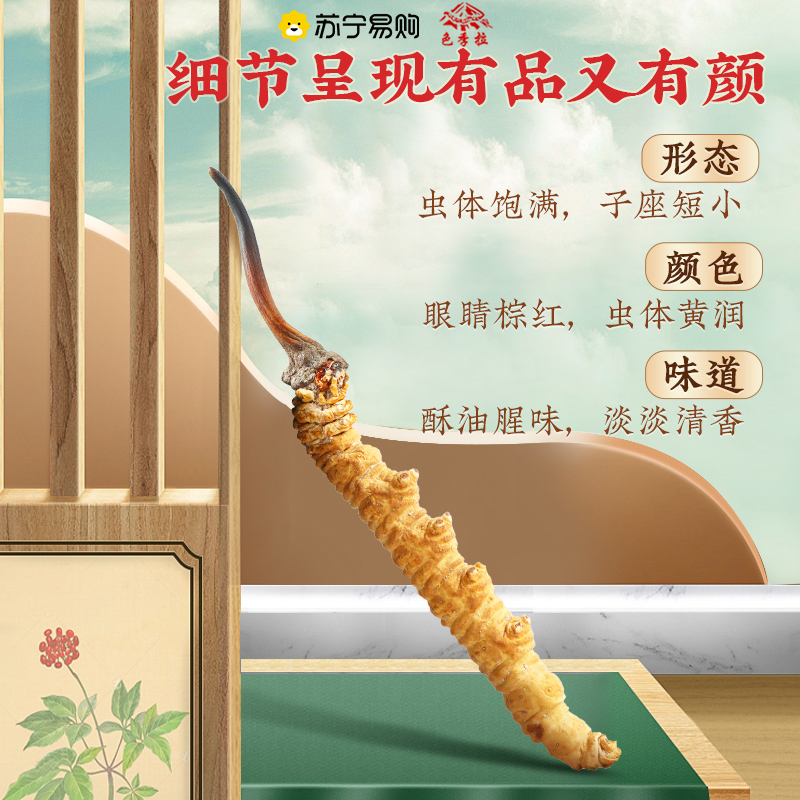 藏华强 冬虫夏草 4根/克 1克装
