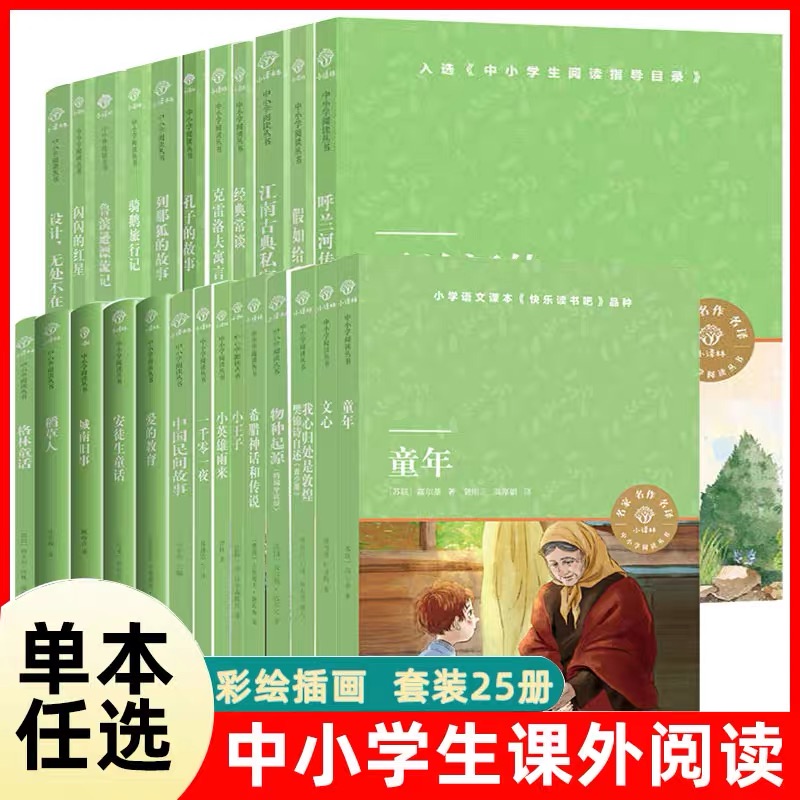 童年+小英雄雨来+爱的教育 [正版]小译林中小学阅读丛书 童年/小英雄雨来/爱的教育/稻草人/格林童话/安徒生童话/假如高清大图