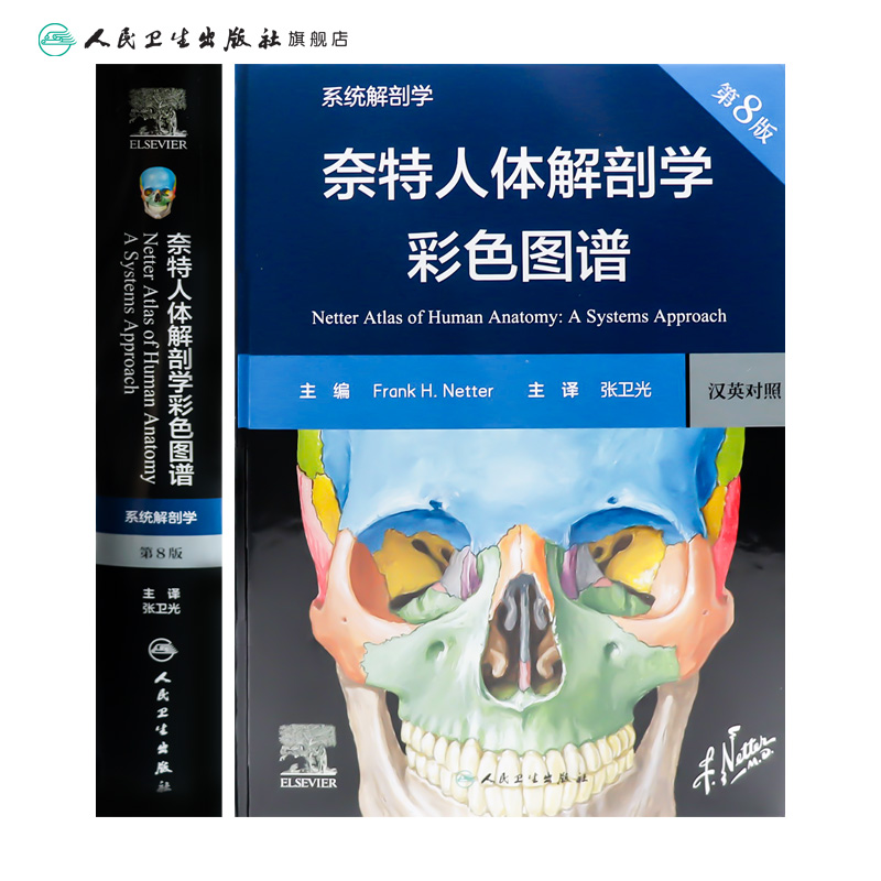 奈特人体解剖学彩色图谱:系统解剖学 [正版]奈特人体解剖学彩色图谱系统解剖学第8版神经肌肉骨骼生理学基础肌动学图鉴列车格高清大图