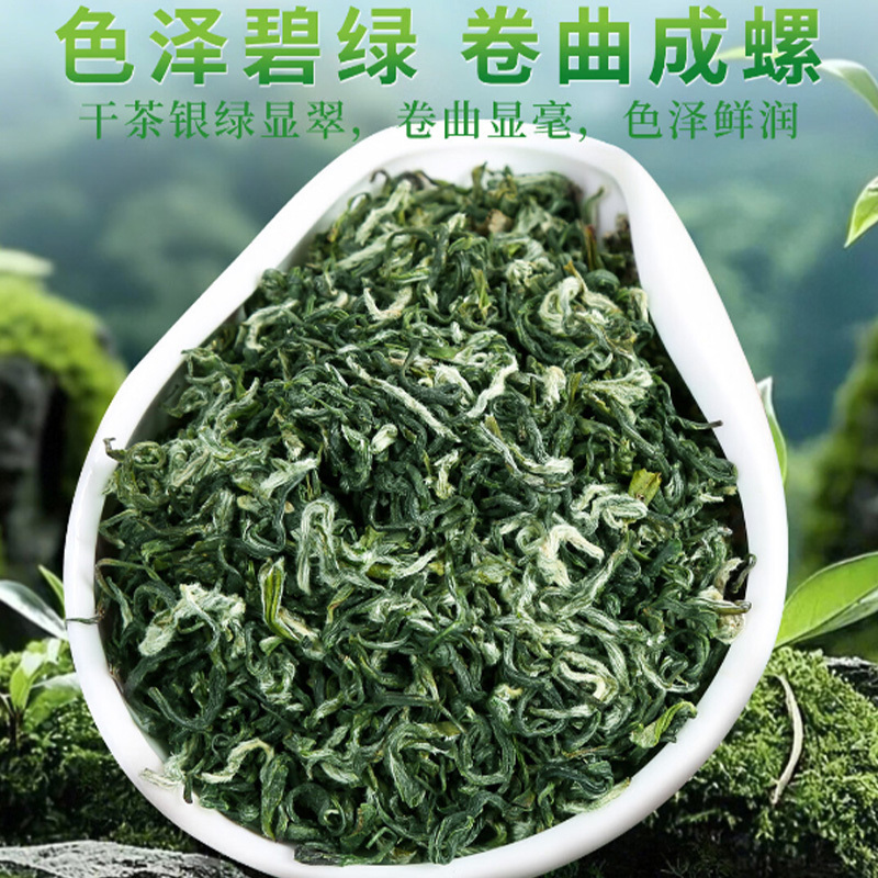 润虎碧螺春250g鲜采嫩芽绿茶罐装浓香型聚茶系列高清大图