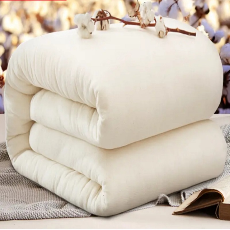 洛菲源 白棉被 棉花被 被子 全棉白色包布，内芯含网 规格150*200/2.5kg