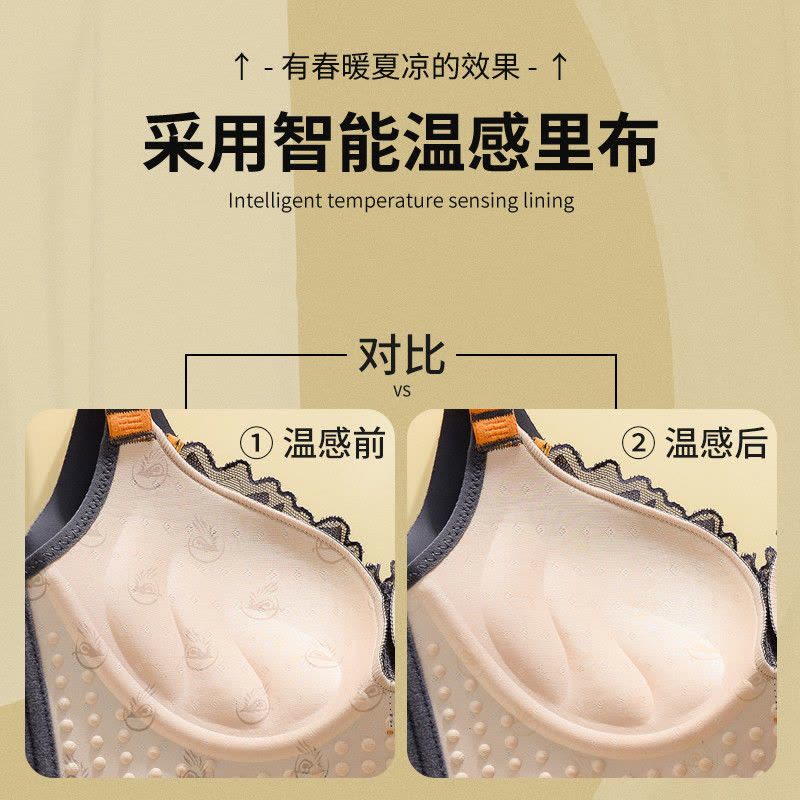 浪莎内衣女小胸聚拢收副乳调整型防下垂美背女士无钢圈胸罩文胸图片