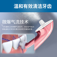 飞利浦(Philips)冲牙器通用清洁喷嘴HX8032/05灰色 2支装 适配HX8331/HX8401/HX8431