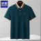 Romon/罗蒙夏季polo衫男士翻领短袖刺绣亲肤舒适凉爽潮流半袖上衣