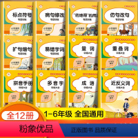 [正版]词语积累大全训练小学生字词语专项练习重叠词量词小学成语叠词近义词反义词多音字拼音人教版aabb式仿写句子修改病