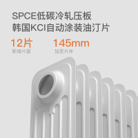 奥克斯(AUX)取暖器家用油汀丁酊电热暖气片暖风机烤火炉卧室节能大面积新款14片