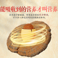 庄民 破壁灵芝孢子粉胶囊 高含量灵芝三萜 0.25g*96粒 保健食品手术后营养补品
