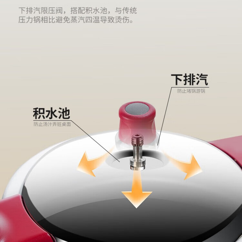 德铂(Debo) 汤普森20cm高压锅 DEP-DS452高清大图